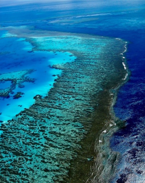 Great Barrier Reef wallpaper pictures 8