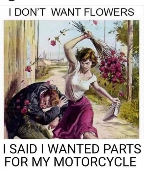 1I don't want flowers