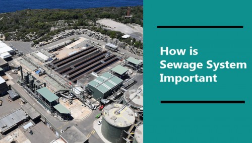 The sewage system is mainly important for the proper maintenance of health and hygiene among people and also for a healthy environment and atmosphere to live in.

Source Url: https://clear-ion.com/blog/how-is-sewage-system-important/
