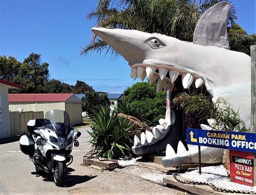 Big Shark North Shields SA