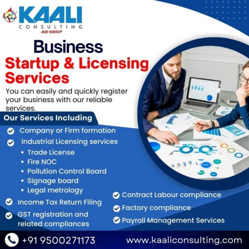 startup and licensing kaaliconsulting (1)