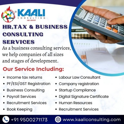 Tax and business consultant kaaliconsulting (1)